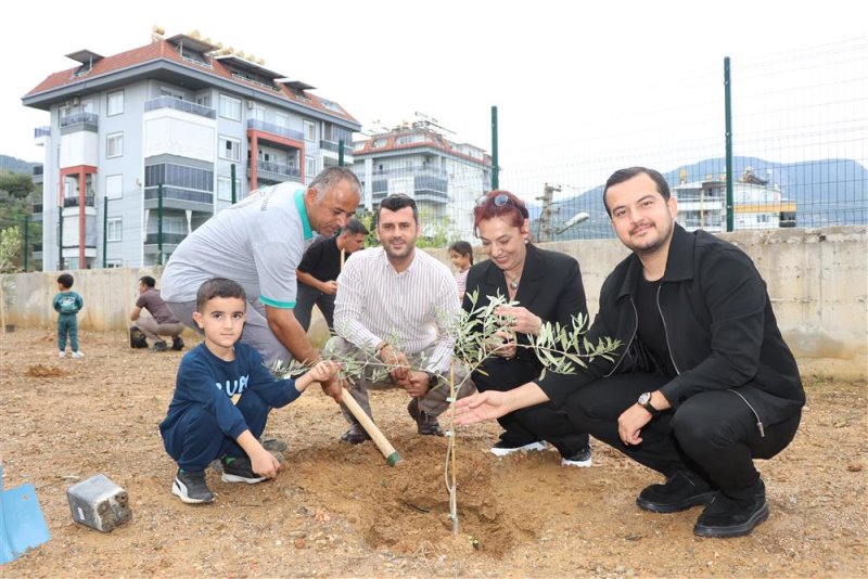 Alanya&rsquo;da minik eller zeytin fidanlarını toprakla buluşturdu
