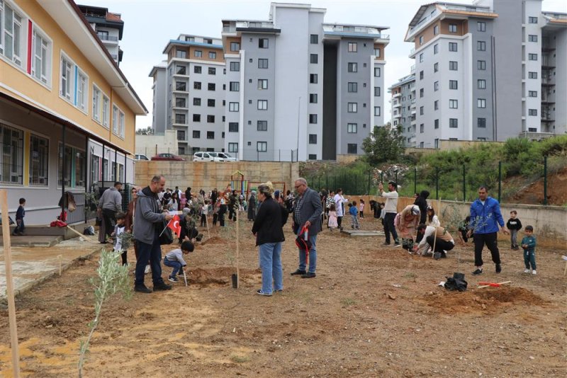 Alanya&rsquo;da minik eller zeytin fidanlarını toprakla buluşturdu