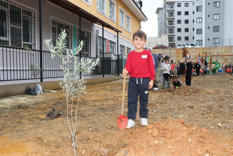Alanya&rsquo;da minik eller zeytin fidanlarını toprakla buluşturdu